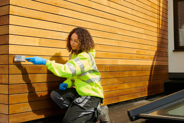 Best Siding Painting and Refinishing  in Haubstadt, IN